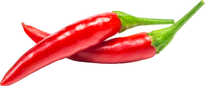 chili pepper isolated